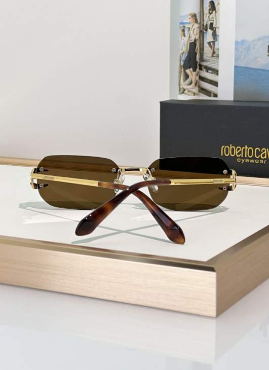 Picture of Roberto Cavalli Sunglasses _SKUfw79280009fw